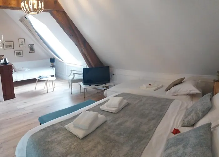 Maison d'hôtes D'hôtes Le Griffon 1855 3*