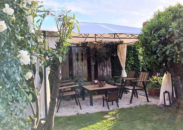 D'hotes Le Griffon 1855 3* Saint-Laurent-Des-Autels